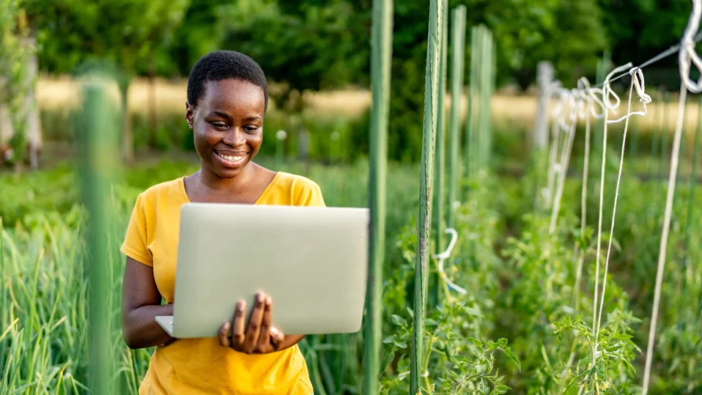 KRA tax compliance for small businesses